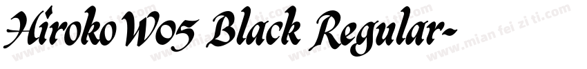 HirokoW05 Black Regular字体转换
